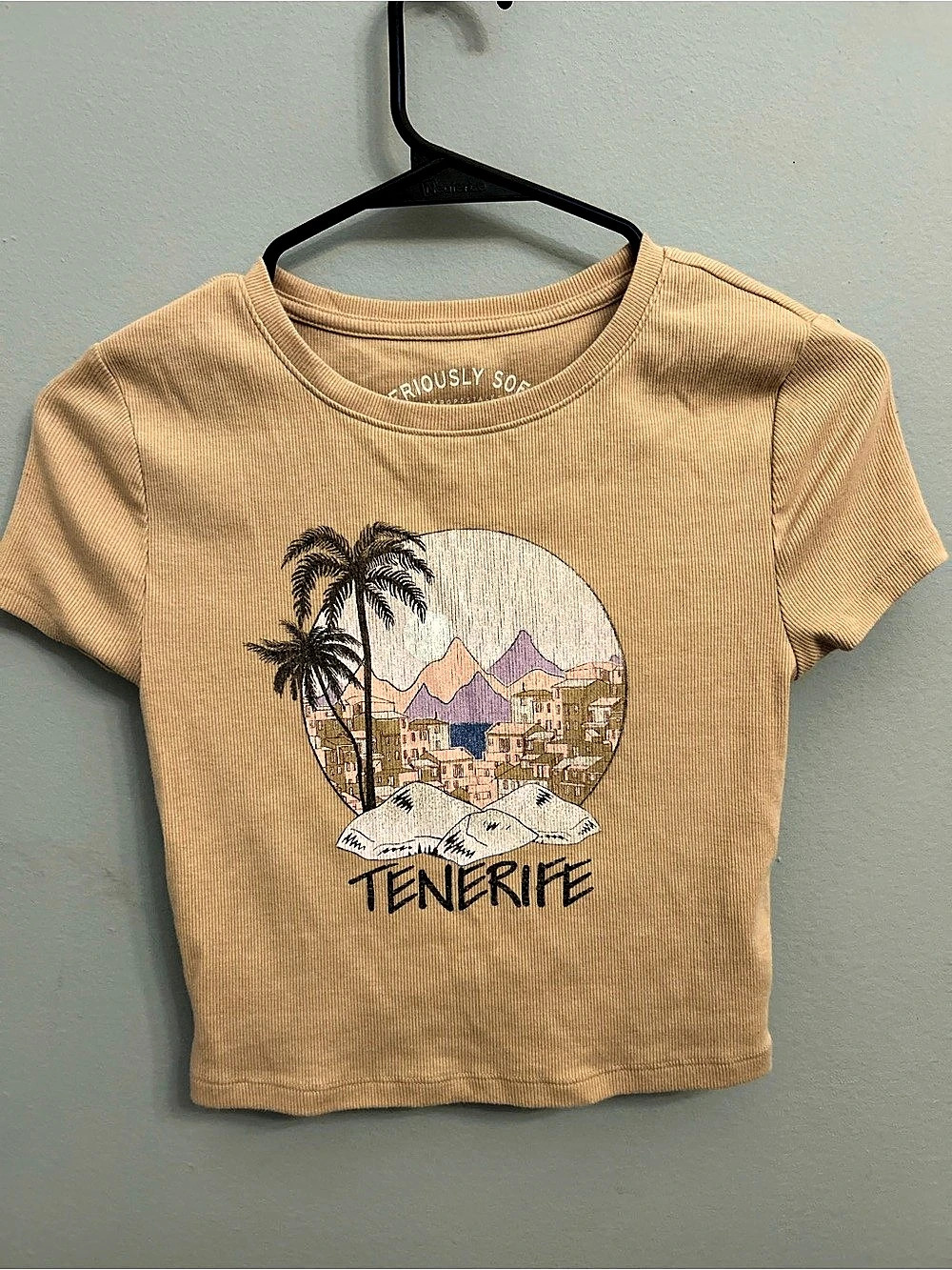 Aeropostale Seriously Soft Tenerife Baby Tee Brown Small